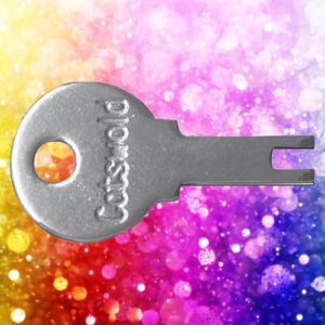 Cotswold COT1 Window Key | NEXT DAY | LockerKeys.Biz