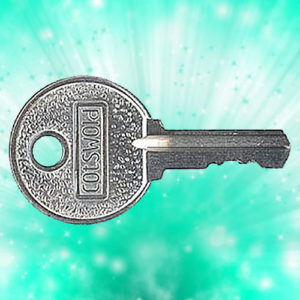 Cotswold COT2 Window Key | NEXT DAY | LockerKeys.Biz