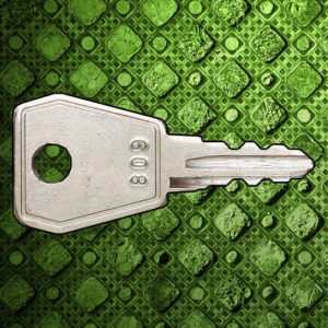Eurolock Keys 801-999 | NEXT DAY | Lockerkeys.Biz