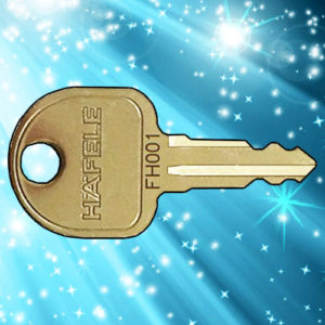 Ronis HAFELE Keys FH001-FH400 | NEXT DAY | Lockerkeys.Biz
