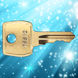 Strebor TSS12 Window Key | NEXT DAY | LockerKeys.Biz