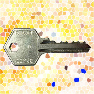 ASEC Padlock Key E | NEXT DAY | LockerKeys.Biz