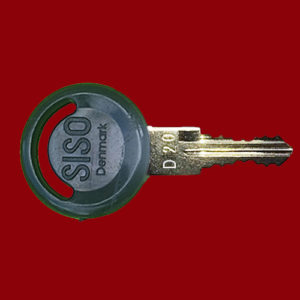 SISO Key D20 | MAXUS SISO EVERGOOD | LockerKeys.Biz