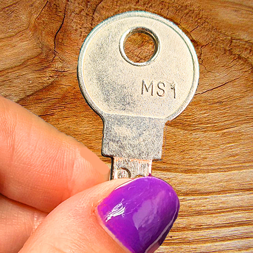 MS1 Electrical Switch Key