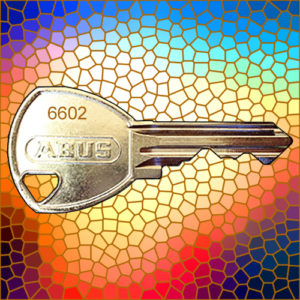 ABUS Padlock Key 6602 | NEXT DAY | LockerKeys.Biz