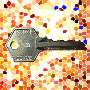 ASEC Padlock Key B | NEXT DAY | LockerKeys.Biz