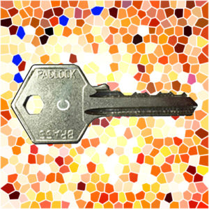 ASEC Padlock Key C | NEXT DAY | LockerKeys.Biz