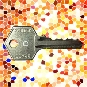 ASEC Padlock Key C | NEXT DAY | LockerKeys.Biz