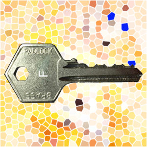 ASEC Padlock Key F | NEXT DAY | LockerKeys.Biz