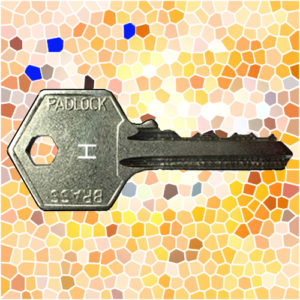 ASEC Padlock Key H | NEXT DAY | LockerKeys.Biz