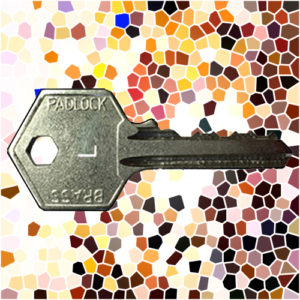 ASEC Padlock Key L | NEXT DAY | LockerKeys.Biz