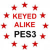 Keyed Alike to SQUIRE Key PES3
