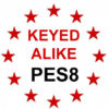 Keyed Alike to SQUIRE Key PES8