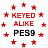 Keyed Alike to SQUIRE Key PES9