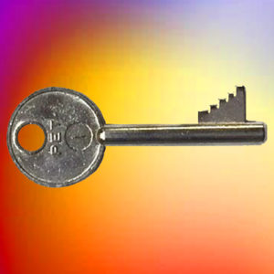 SQUIRE PADLOCK Key PET1 | NEXT DAY | LockerKeys.Biz
