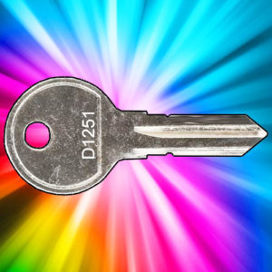 Thule Remover Key D1251 | NEXT DAY | LockerKeys.Biz