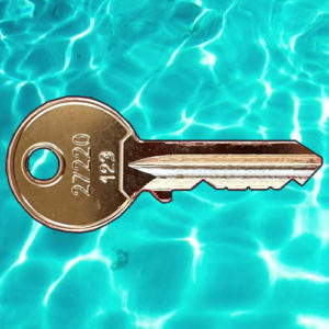 ASSA 27220 Dry Locker Keys | NEXT DAY | LockerKeys.Biz